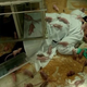 Image for article titled Behind the Surprise Twist that made us Scream on Helix